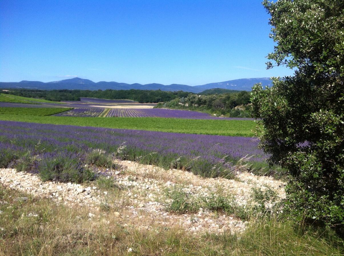 Gites De La Croix Du Gres (Adults Only) Valaurie Dış mekan fotoğraf